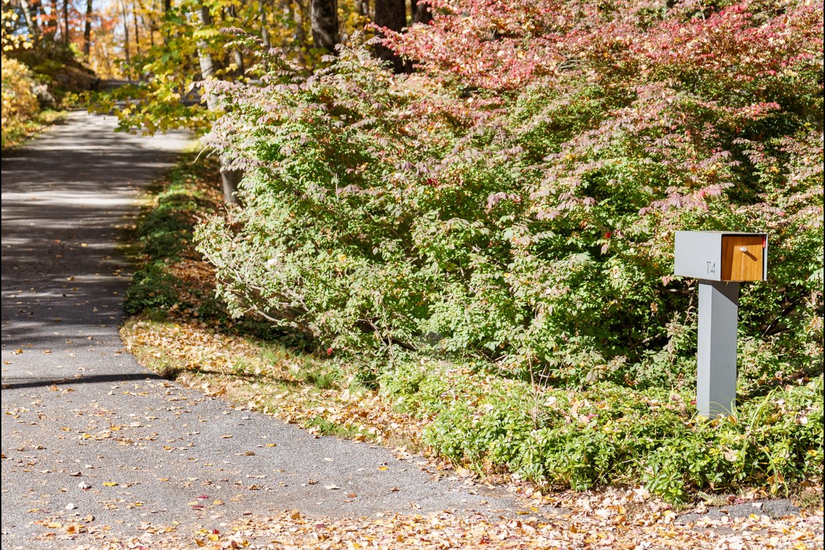 114 Pequot Lane - background 70