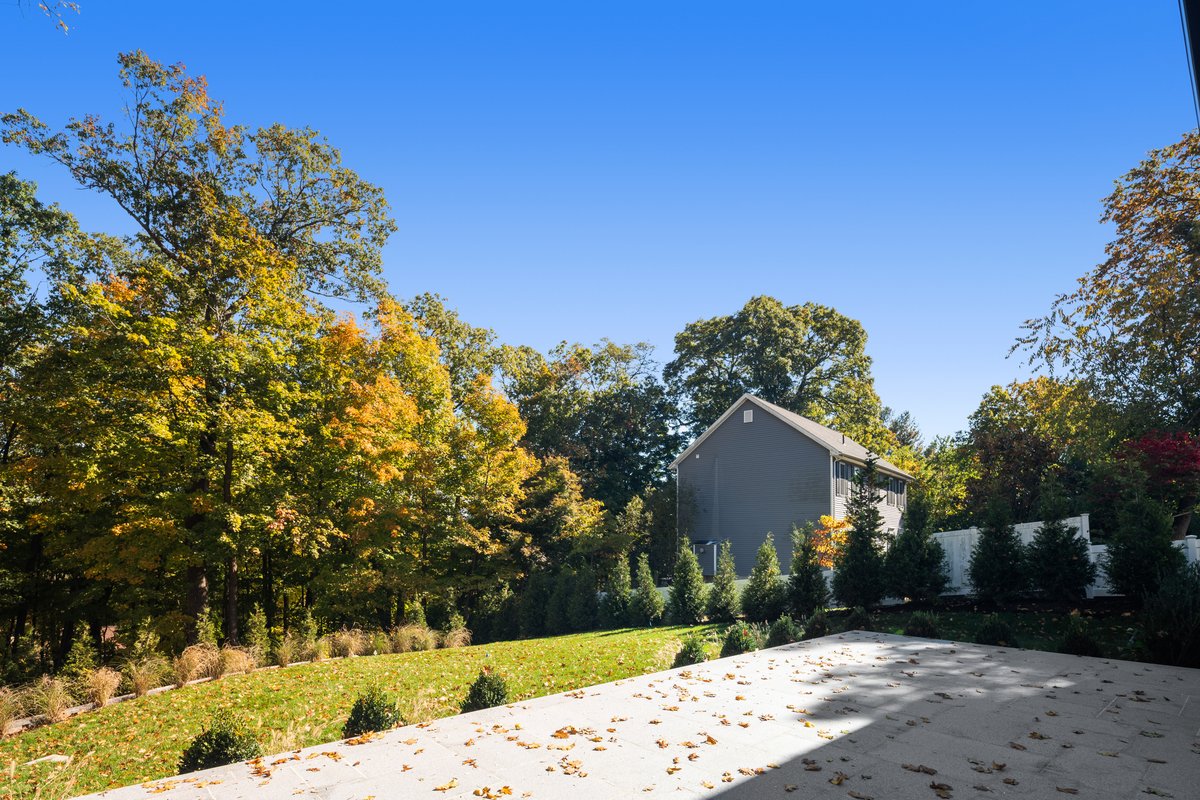 8 Hickory Lane - background 90