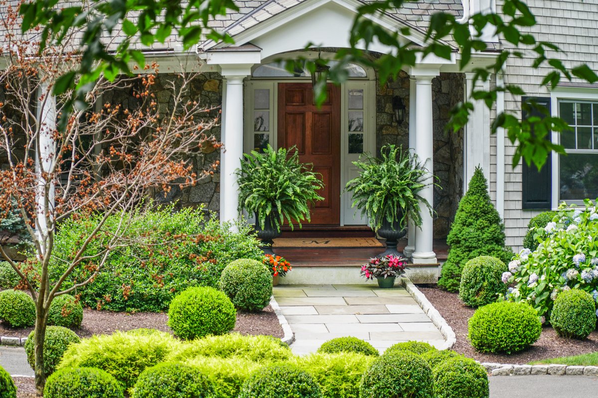137 Linden Tree Rd - background 3
