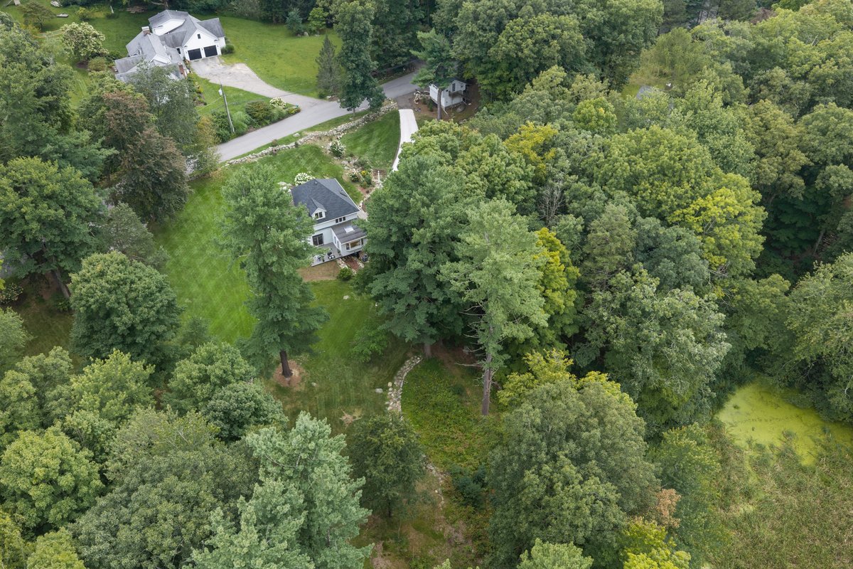 14 Partrick Lane - background 45