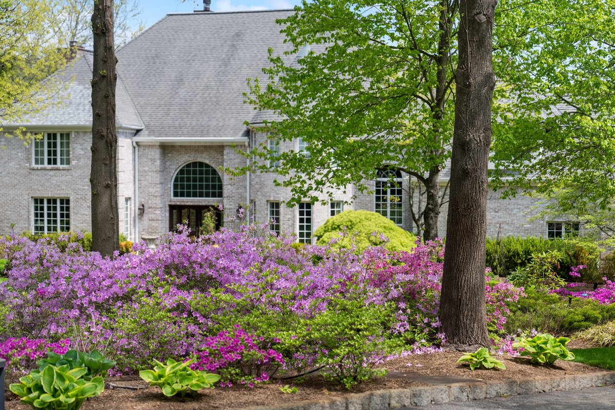 10 Fawn Lane - Image 1