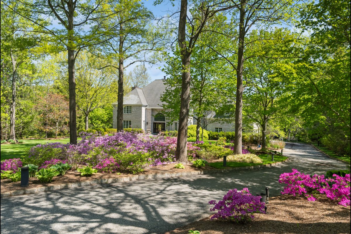 10 Fawn Lane - background 39