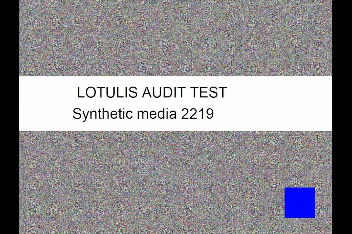 LOTULIS AUDIT FULL COVERAGE 0926 - background 4