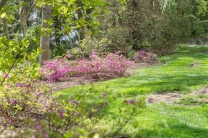 10 Fawn Lane, Armonk, NY - Photo 9