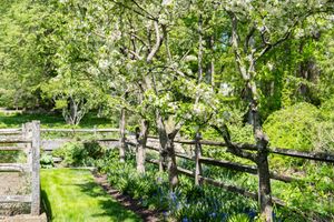 25 Father Peters Lane, New Canaan, CT - Photo 11