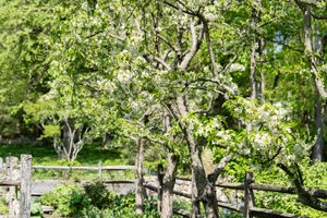 25 Father Peters Lane, New Canaan, CT - Photo 10