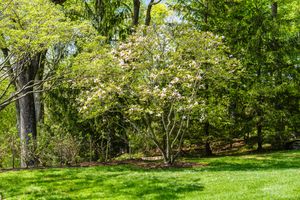 25 Father Peters Lane, New Canaan, CT - Photo 9